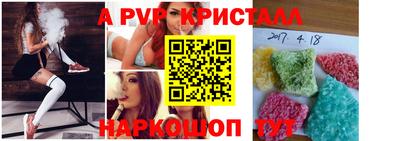 СК Кингисепп