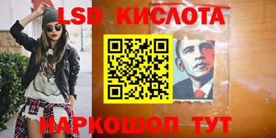 СК Кингисепп