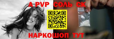 СК Кингисепп