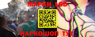 СК Кингисепп