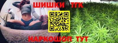 СК Кингисепп