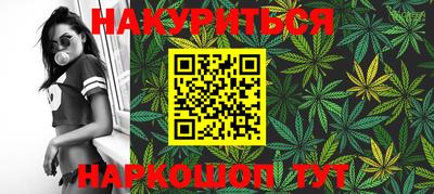 СК Кингисепп