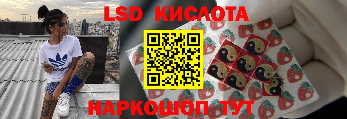 ЛСД экстази кислота  ЛСД экстази кислота  kraken зеркало  Вход с VPN  Ленинск-Кузнецкий 